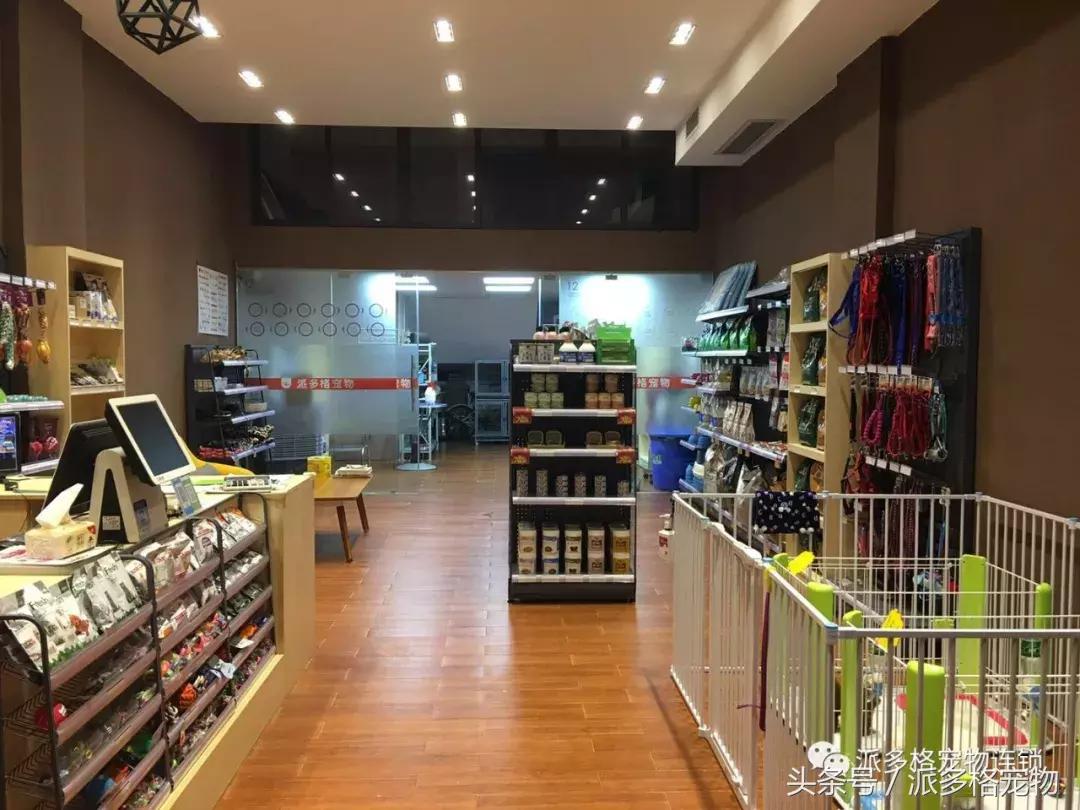 到底是什么让他开了一家派多格宠物店，还想再开一家？