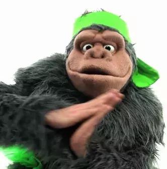 动物好伙伴之动物欢乐岛,超级有趣的动物知识