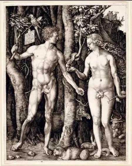 内衣裤应该多久换一次,卫生裤一般多久换一次