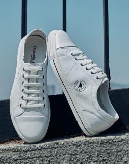 张云龙在球场上奔跑,张云龙披荆斩棘笑容