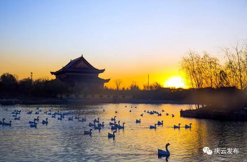 100万奖励征集店名,logo征集三万大奖