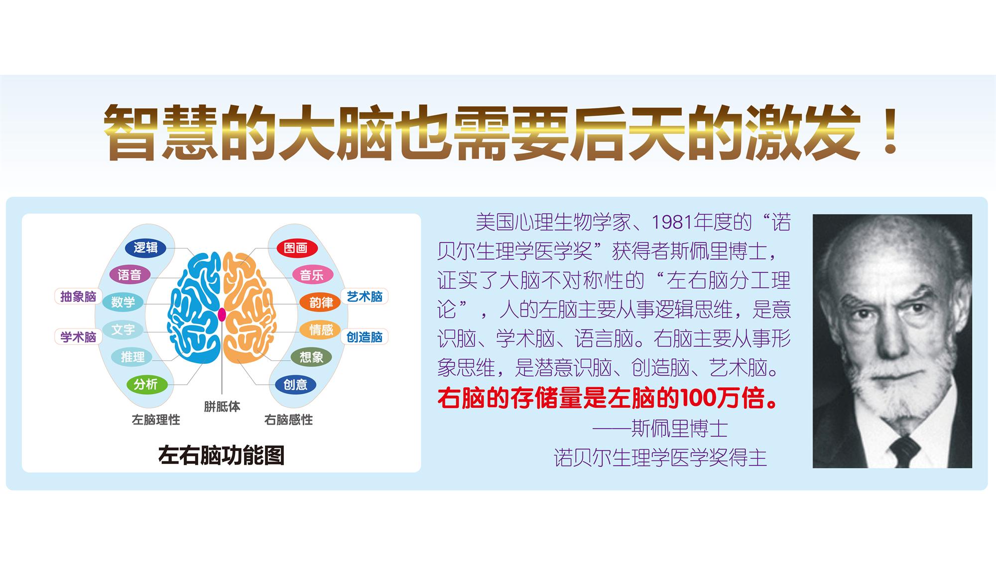 博恩全脑教育有用吗,全脑教育好不好