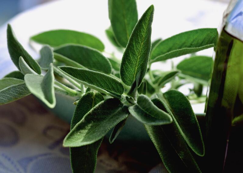 家庭养螨虫最好的方法,家中放一物可以杀灭所有螨虫