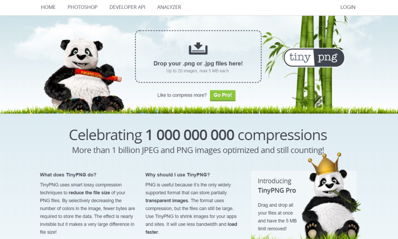 网页设计最基础学什么,最基础的网页设计模板