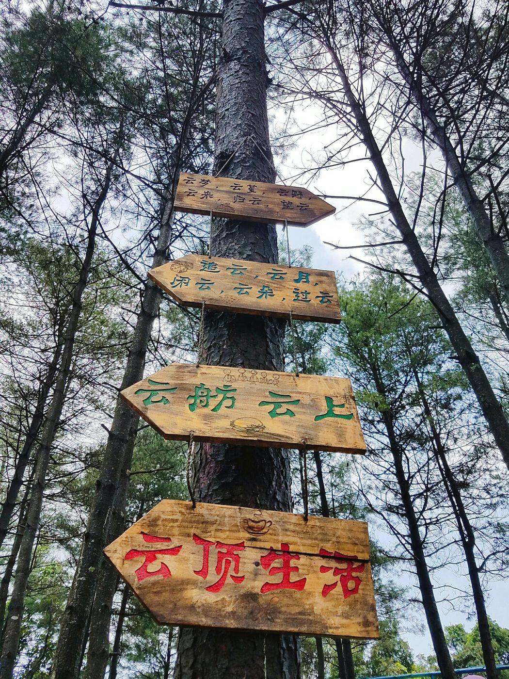 曾家山避暑15天吃住,避暑胜地曾家山