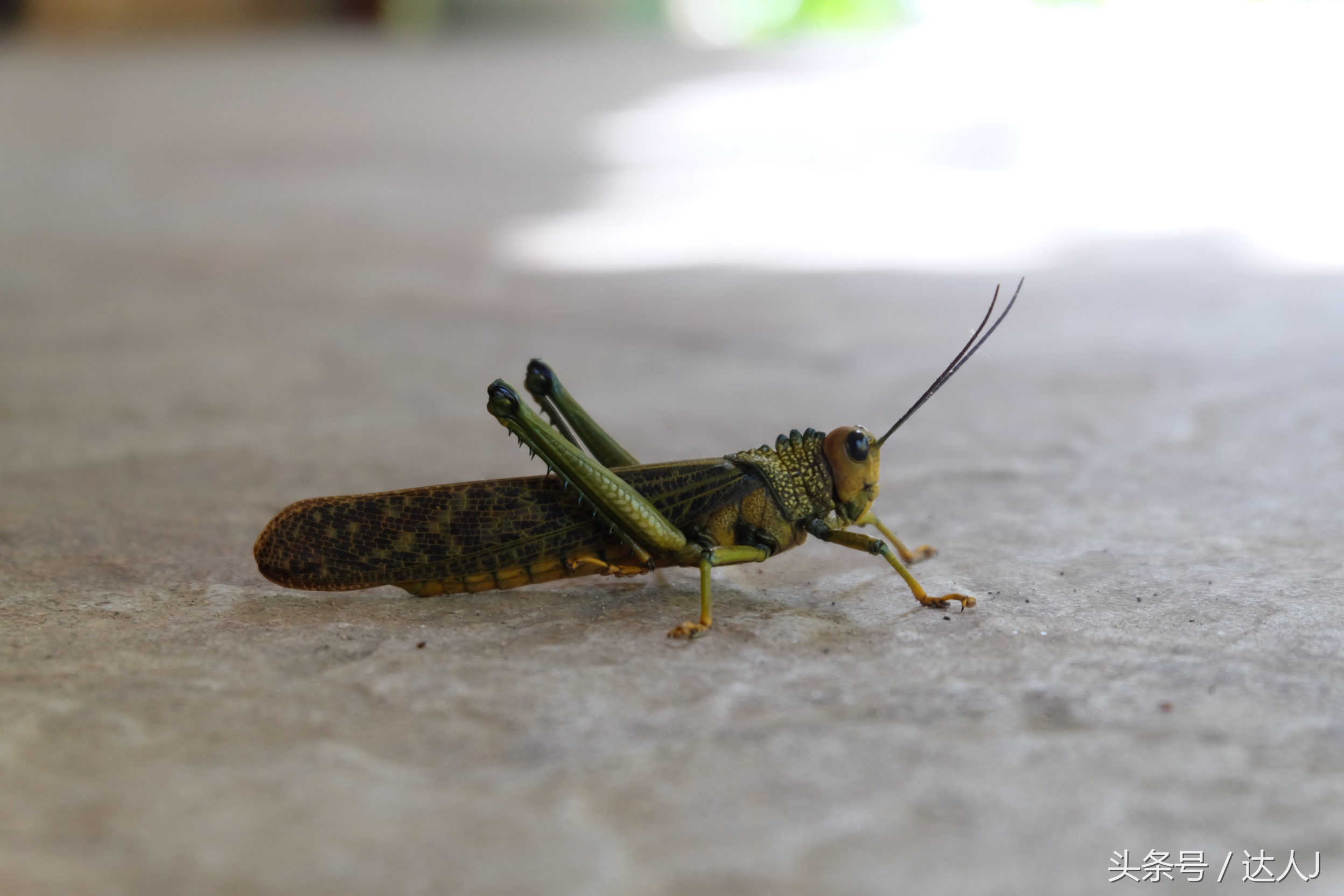 小天游中国的旅行,小天在太空旅行