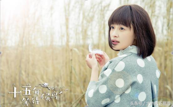 《十五年等待候鸟》青春已过，再来温习一次“候鸟的约定”