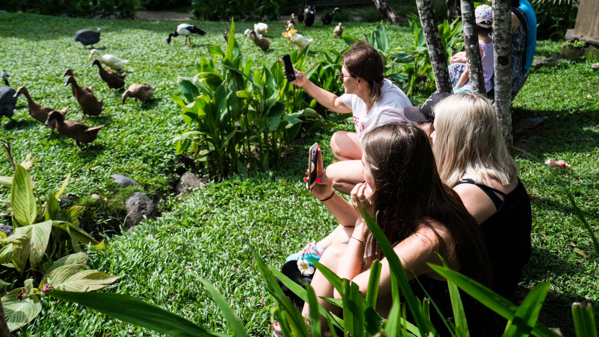 巴厘岛吃喝攻略,巴厘岛闺蜜