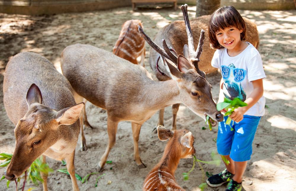 去巴厘岛跟团好不好,巴厘岛跟团游最佳攻略