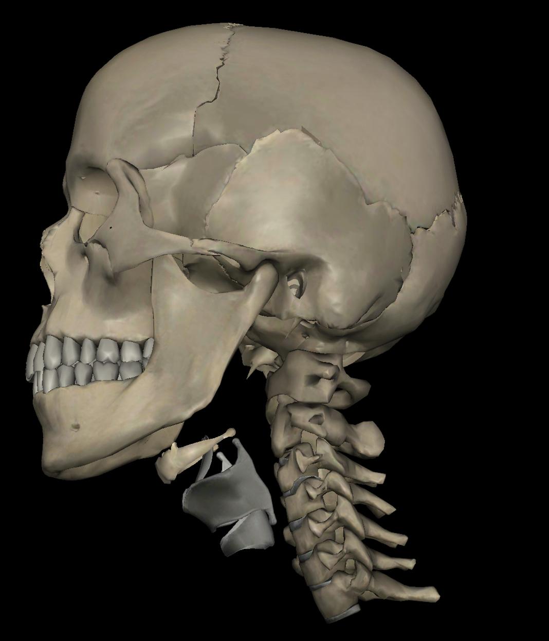 颈椎病是怎么患上的,颈椎病是怎么得的如何预防