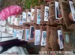 社团风采活动,社团风采器乐合奏