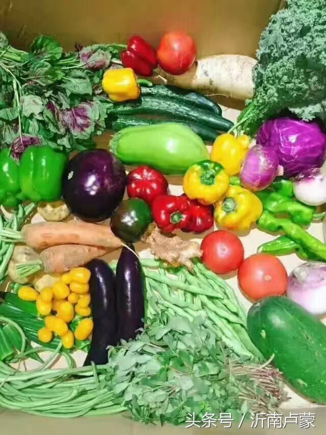 陈锋名师工作室,陈锋老师视频