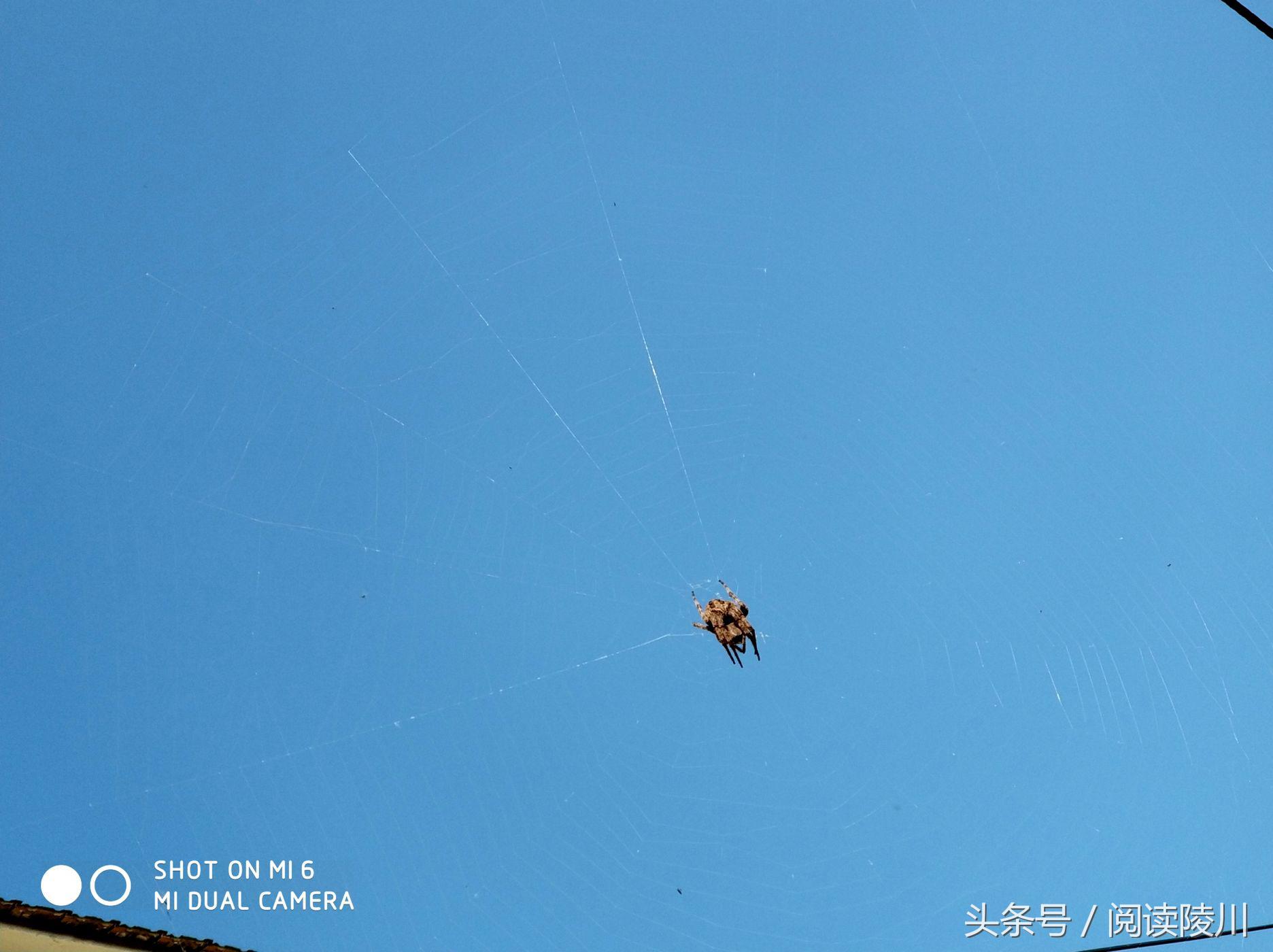 小乡村的夏天安静又惬意,陵川夏天生活