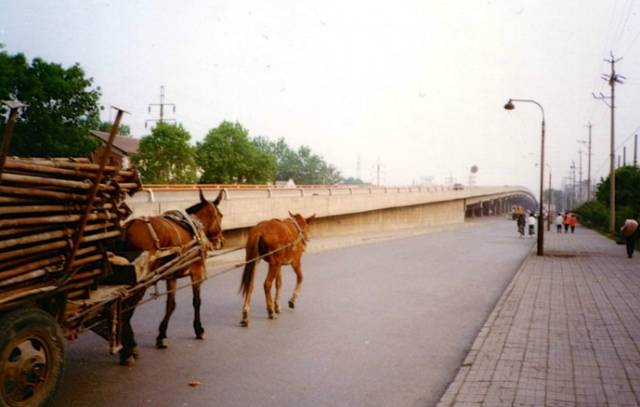天津1990年代照片,天津旧照1980杨柳青