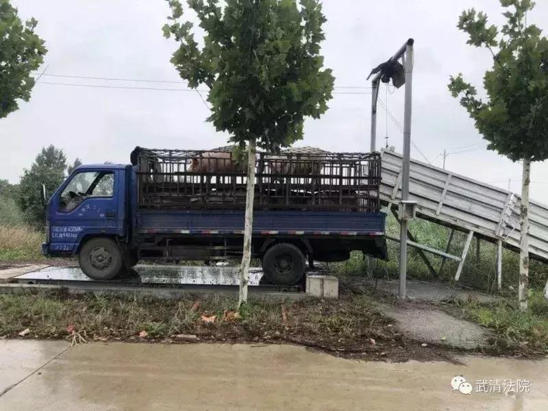 老赖赖无可赖,老赖找上门耍赖怎么办