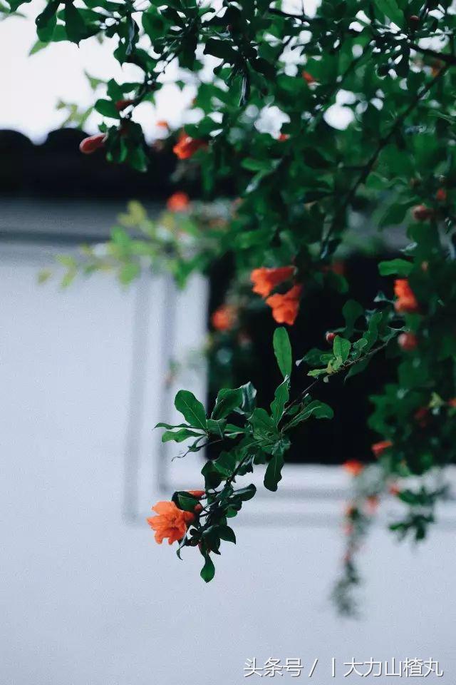 桐庐这些如诗画般高颜值精品民宿,桐庐有哪些隐藏的民宿