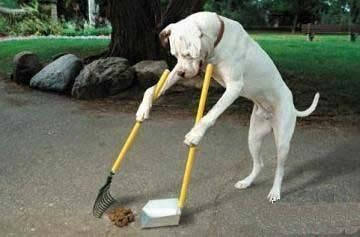 学生宿舍移动洗澡神器,宿舍工人热水洗澡神器