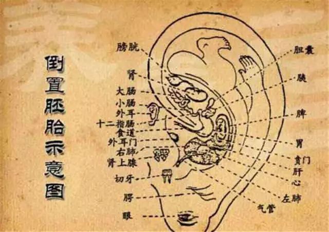 中医舌诊面诊耳诊的好处,零基础学面诊手诊舌诊
