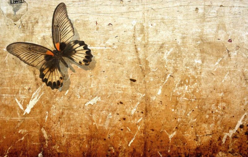 不要从别人嘴里认识我,不要在别人的嘴里认识我