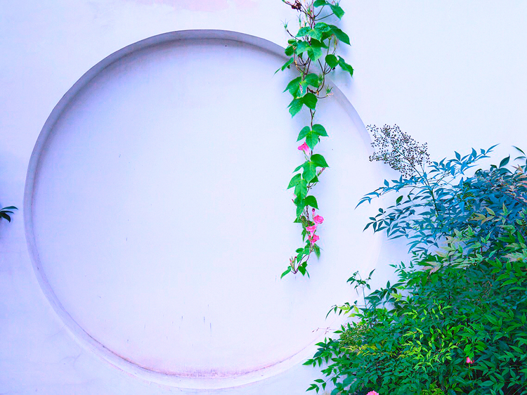 杭州西湖竹涧庭民宿踏春之旅,杭州民宿客栈里的美景攻略