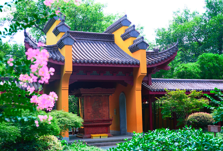 杭州西湖竹涧庭民宿踏春之旅,杭州民宿客栈里的美景攻略