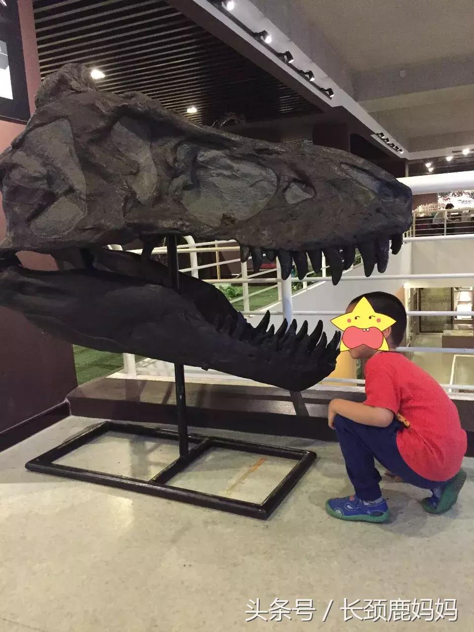 带孩子去北京不建议去哪,带孩子去北京没预约去哪玩