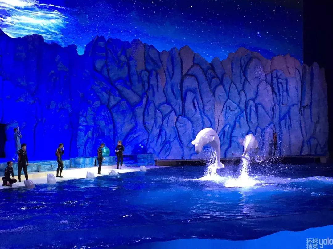 珠海长隆海洋王国澳门香港游,珠海长隆海洋王国表演节目时间表