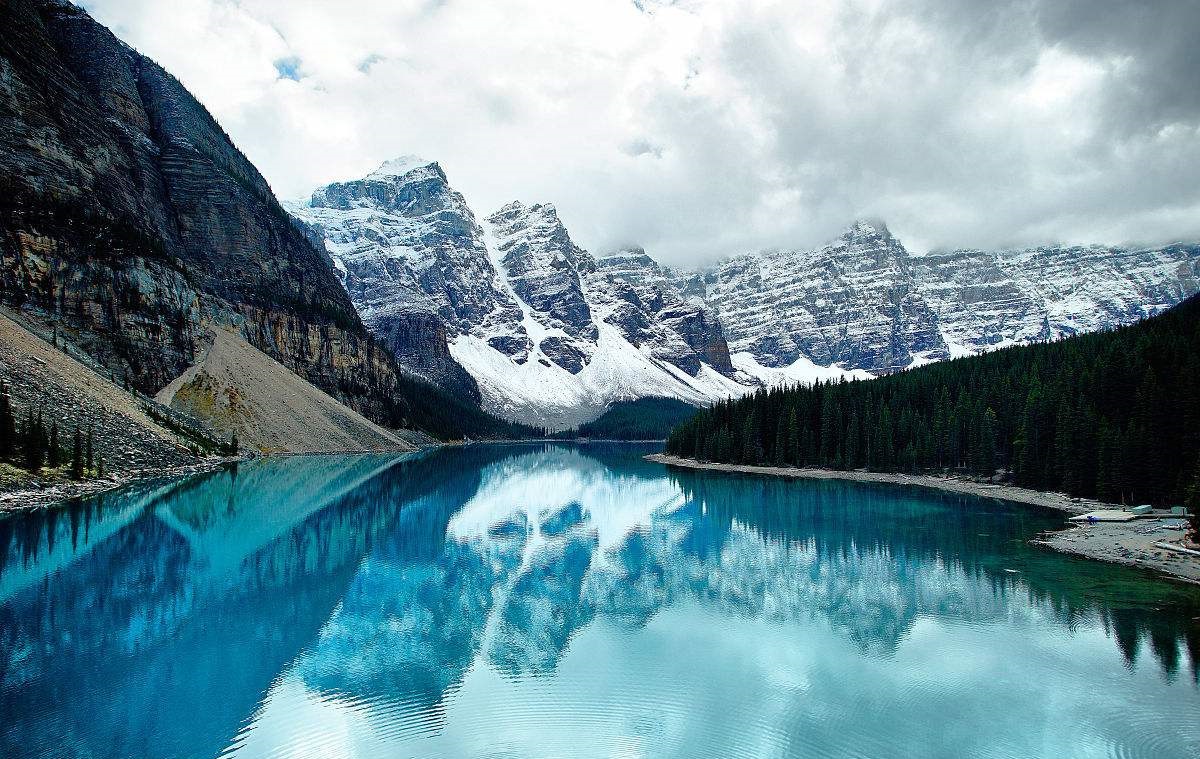 加拿大枫叶哪个城市最多,加拿大枫叶面积