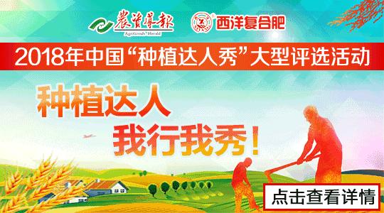 开一家农资店有多大的利润,开农资店成功案例