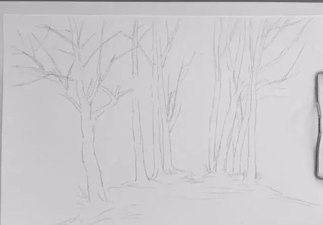 春天的美景素描,手把手教画风景