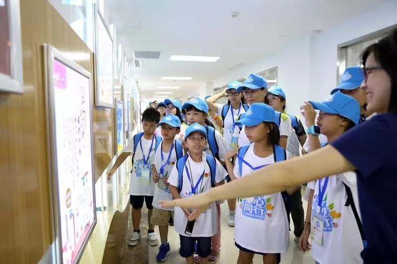 小候鸟暑假,小候鸟活动