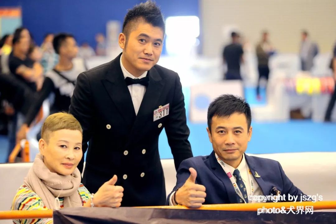 海润金毛比赛,中国海润金毛