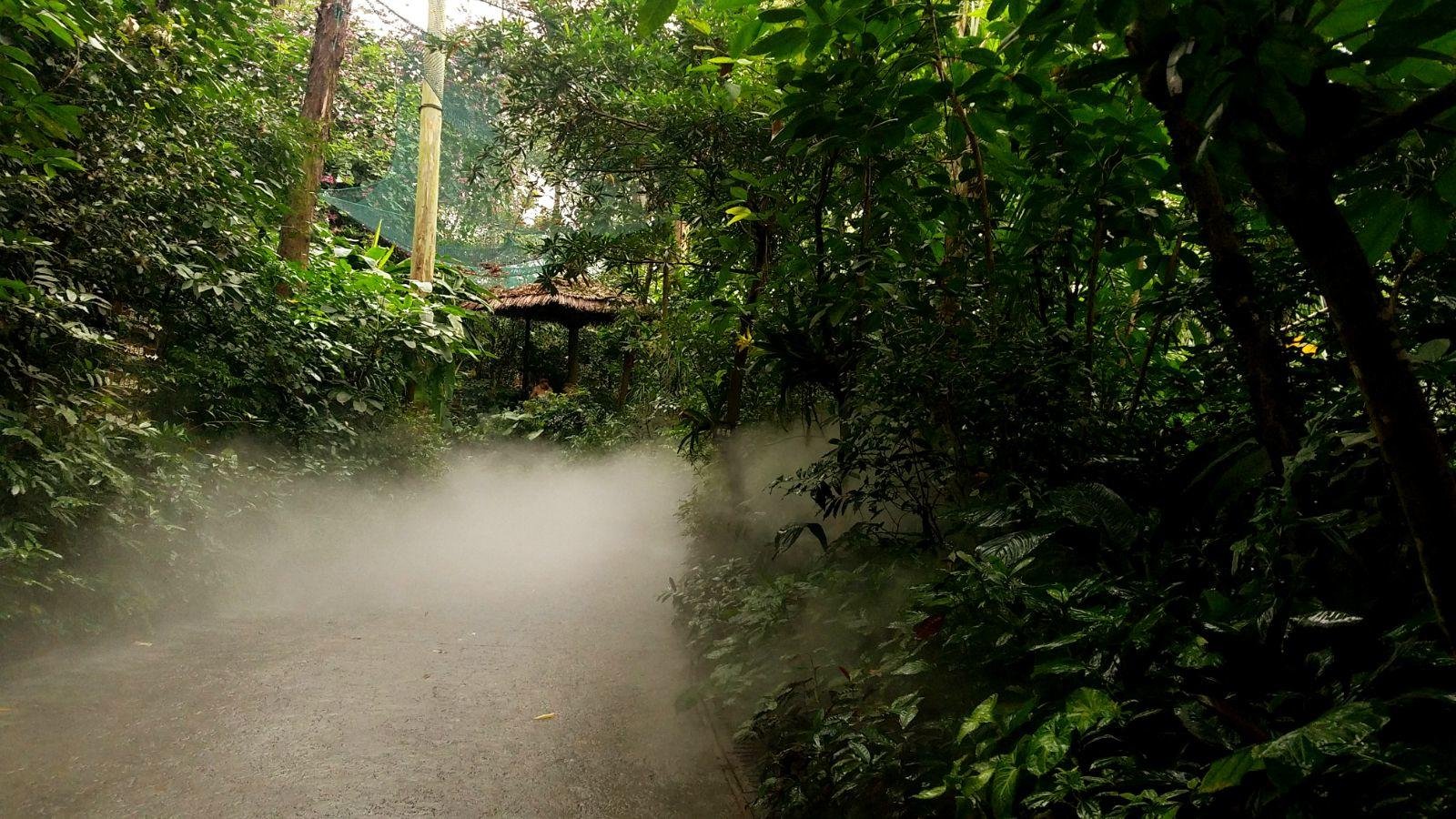 长隆广州野生动物园带娃游玩攻略,一大一小亲子游长隆野生动物园