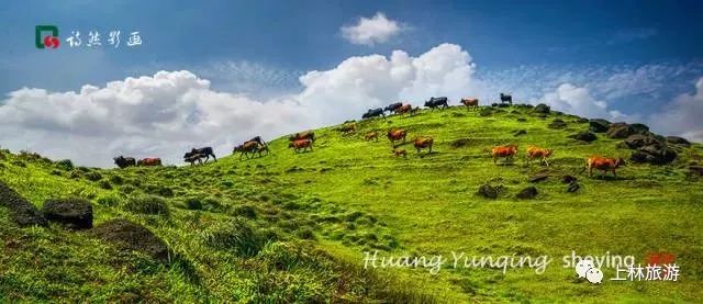 上林美丽风景图,上林美景爆款
