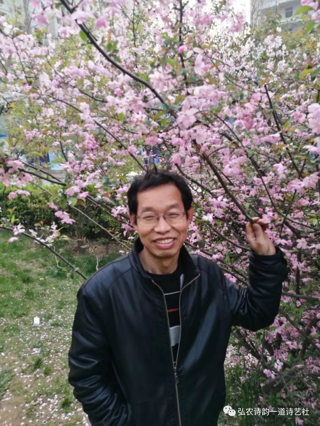 弘农诗,弘农古诗词