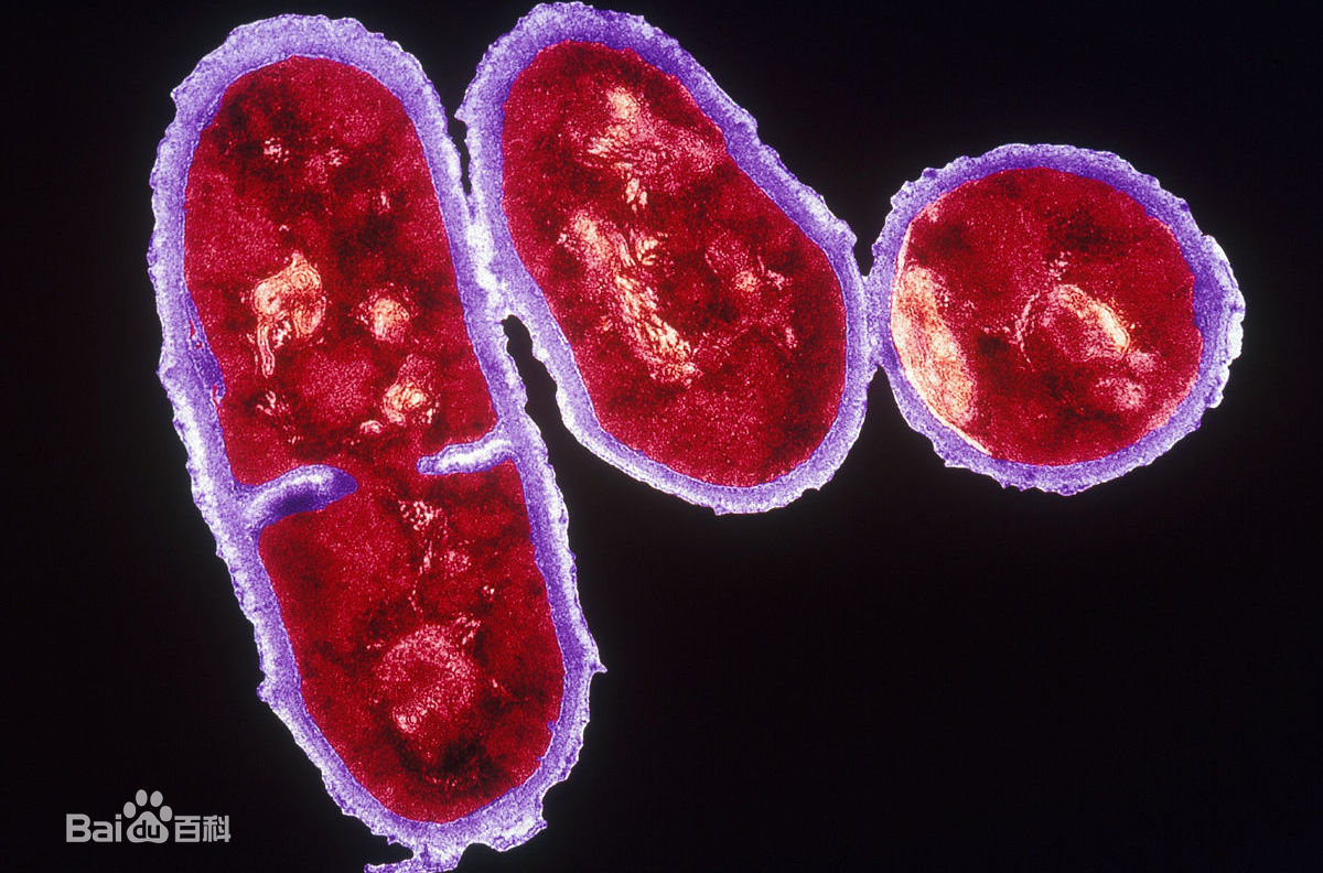 为什么别人的青春期没有痘痘？本期文章不藏私战痘好物起底