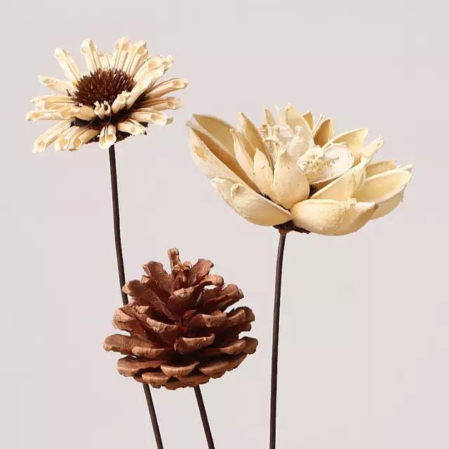 如何领略葡萄酒的魅力,如何品尝葡萄酒的果香