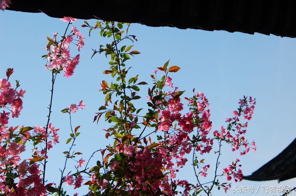 吴承恩墓葬里的西游记,西游记作者吴承恩墓葬