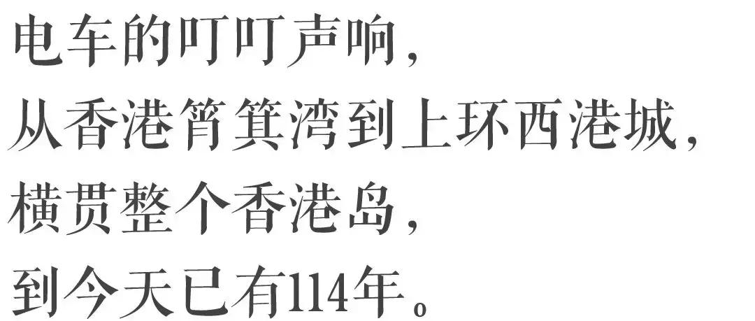香港—连鸽子都已经习惯了“叮叮车”的节奏