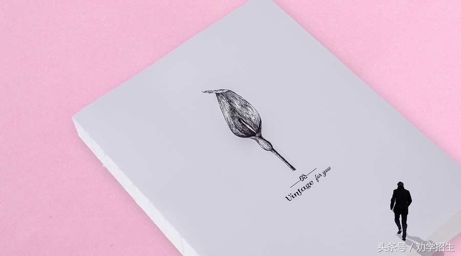 留学教育机构品牌营销策略,国外教育机构经营模式