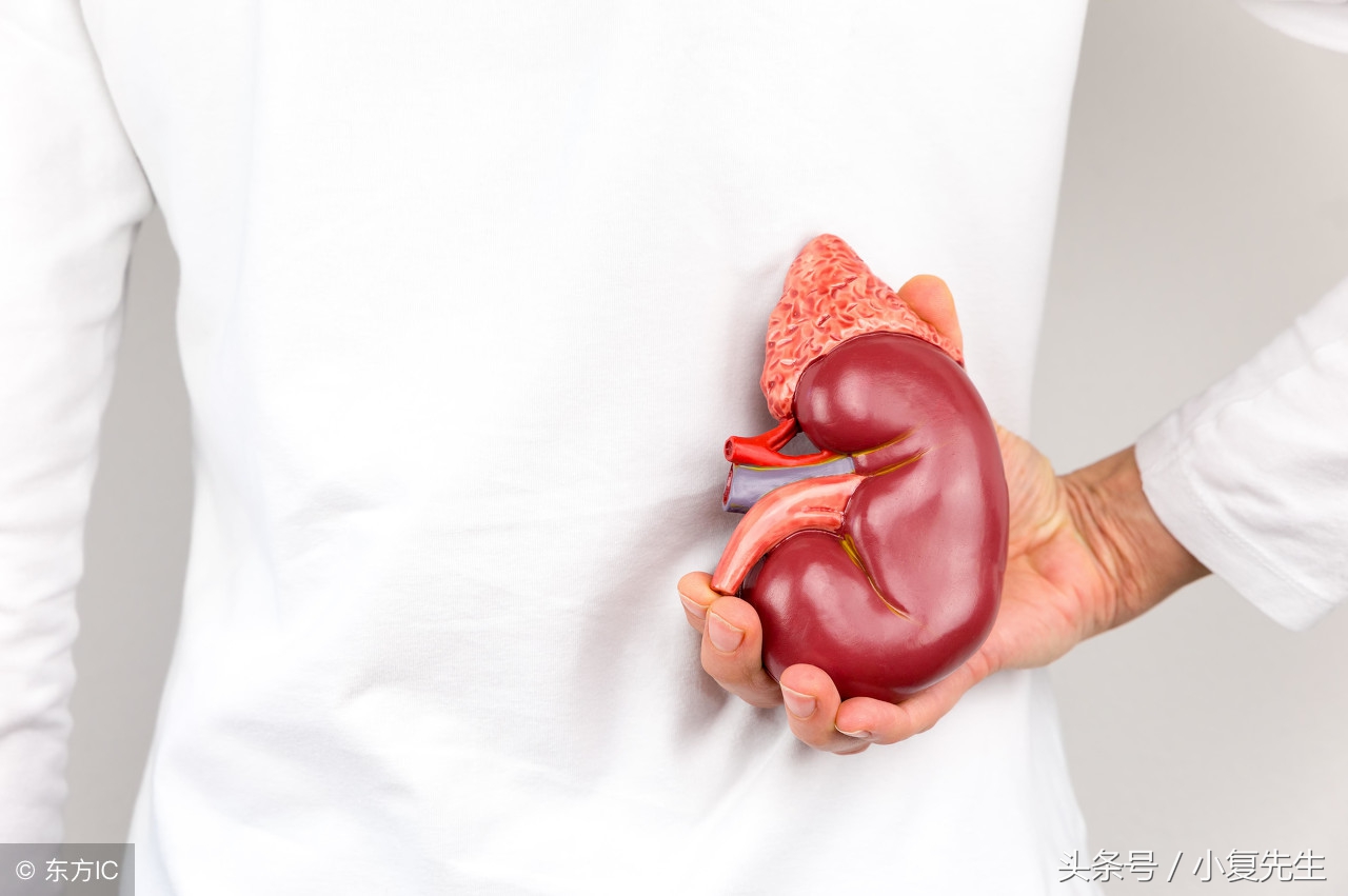 得了慢性肾病饮食应注意事项,肾病综合症可以吃什么保健品