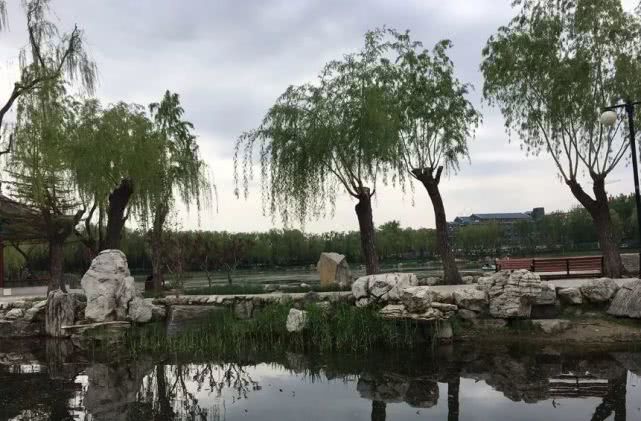 北京哪些公园对18岁以下免费,北京60岁以上老人免费公园明细