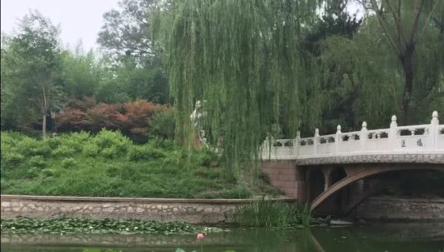 北京哪些公园对18岁以下免费,北京60岁以上老人免费公园明细