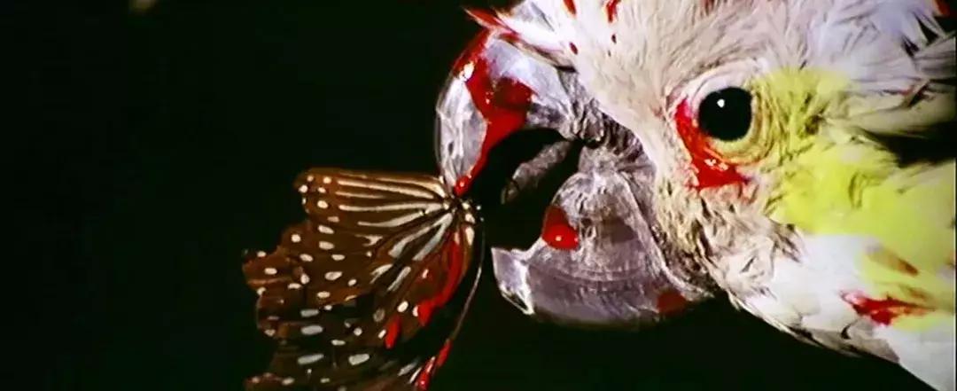 徐克经典武侠电影推荐,徐克十部顶级武侠电影