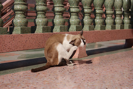 有趣的相机视频教程,佳能相机使用技巧大全