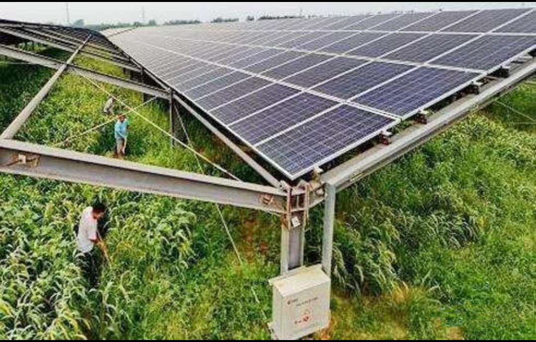 农业十种赚钱方法,有哪些农业致富好项目值得推荐