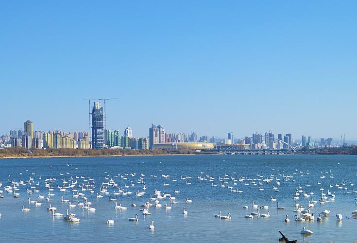 河南最“空荡”的城市：常住人口226万，人均GDP却比洛阳还高