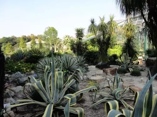 带你看广州最美的夜景,带你看广州一线江景