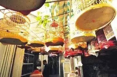 西城最后一个！20年的老市场9月底就没！想怀念的赶紧！