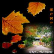 大沽河散文诗作品,大沽河的诗